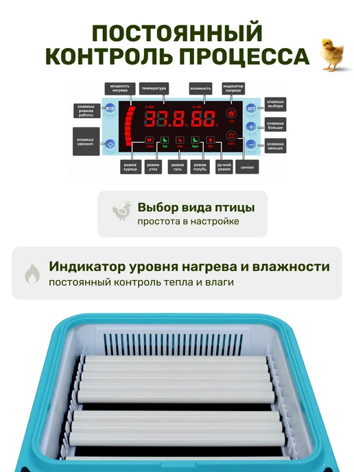 GREEN FARMER Инкубатор для яиц автоматический Г-64, зеленый, фото 3