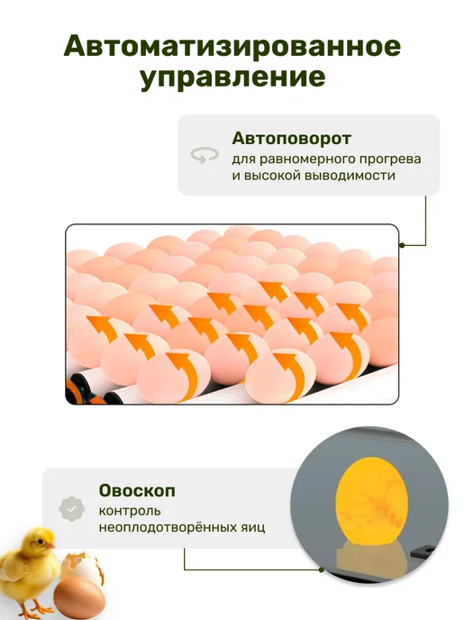 GREEN FARMER Инкубатор для яиц автоматический Г-64, зеленый, фото 4