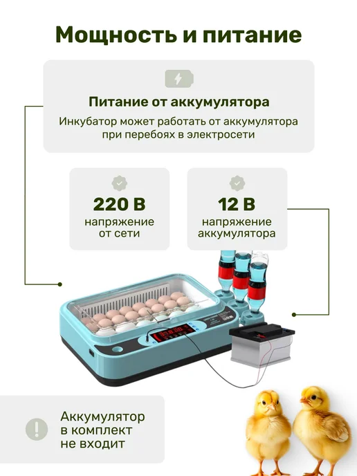 GREEN FARMER Инкубатор для яиц автоматический Г-64, зеленый, фото 6
