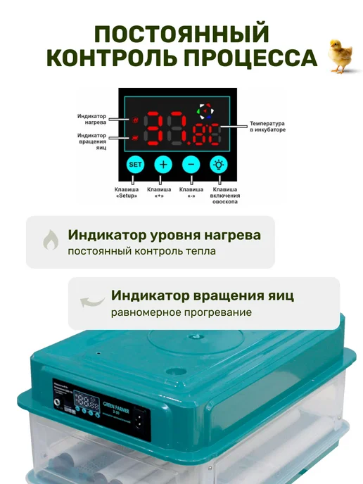 GREEN FARMER Инкубатор для яиц автоматический З-30, зеленый, фото 3