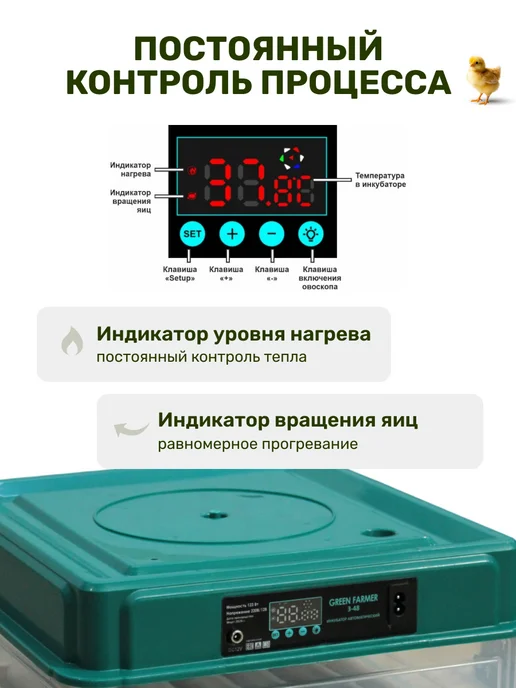 GREEN FARMER Инкубатор для яиц автоматический З-48, зеленый, фото 3