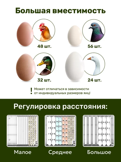 GREEN FARMER Инкубатор для яиц автоматический З-48, зеленый, фото 5