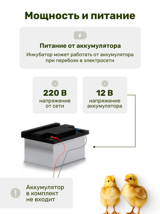GREEN FARMER Инкубатор для яиц автоматический З-48, зеленый, фото 6