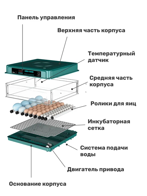 GREEN FARMER Инкубатор для яиц автоматический З-48, зеленый, фото 8