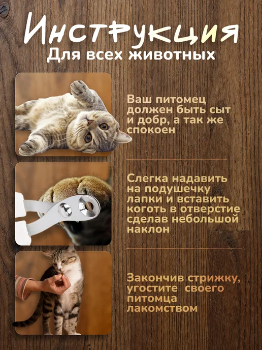 Ногтегрызка животных грызунов Когтерезка с ограничителем, вариант, фото 2