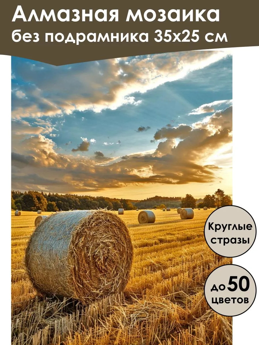 Алмазная мозаика без подрамника «Пшеничное поле» 35x25 см