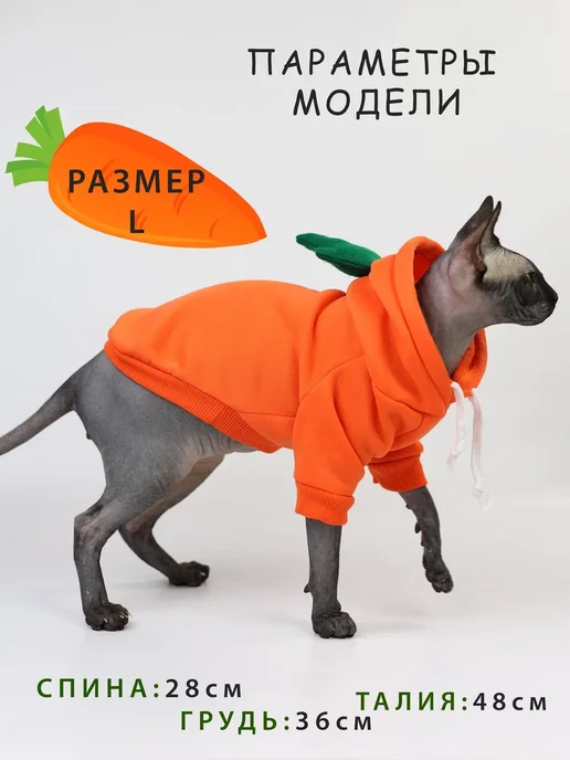 Одень кота Костюм для кошки свитер кофта морковка, оранжевый, фото 2