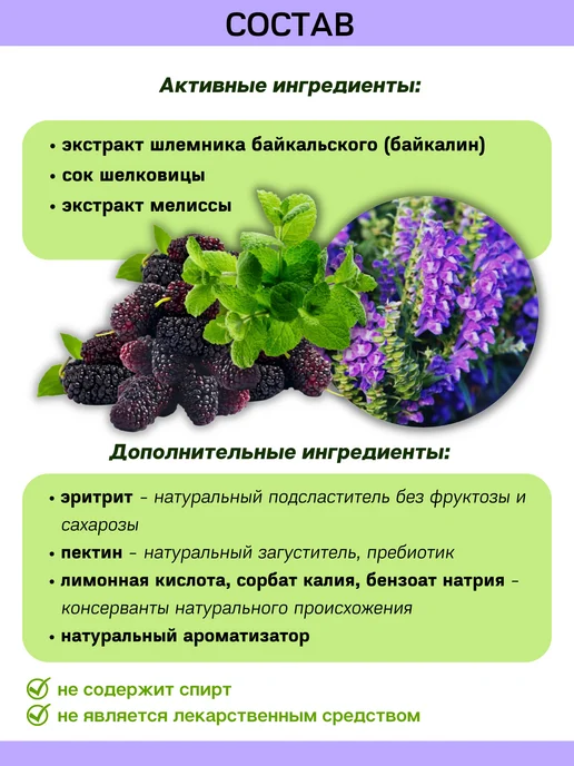 IMMUNO.SHOP Шлемник байкальский фитоконцентрат 120 мл, 120 мл, фото 2