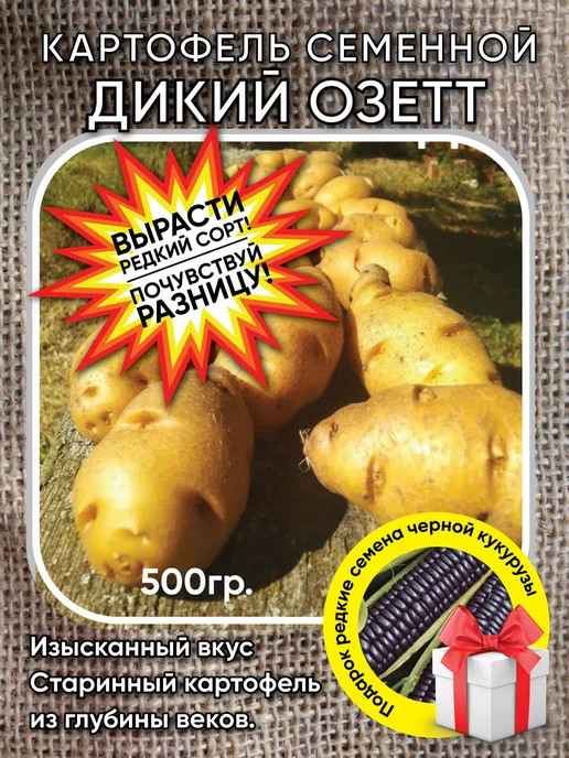 Картофель Банан (potato banana), 400 гр, 500 г