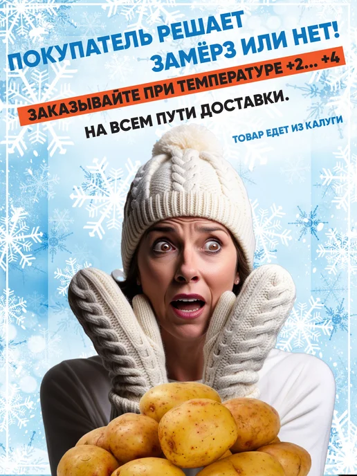 Картофель Банан (potato banana), 400 гр, 500 г, фото 2
