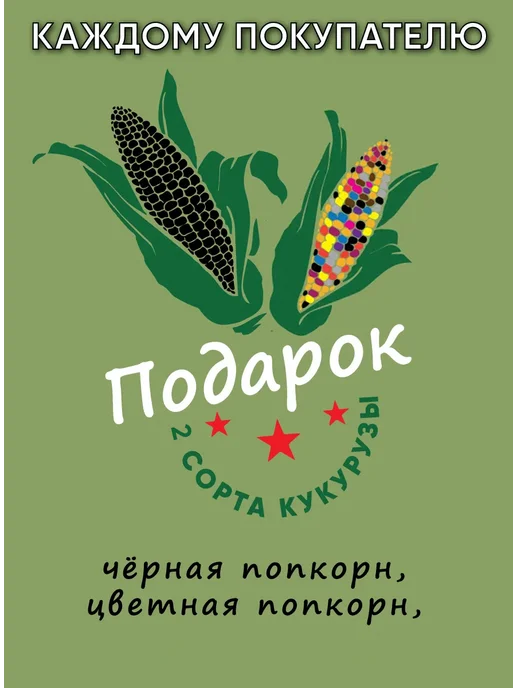 Картофель Банан (potato banana), 400 гр, 500 г, фото 3
