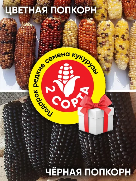 Картофель Банан (potato banana), 400 гр, 500 г, фото 4