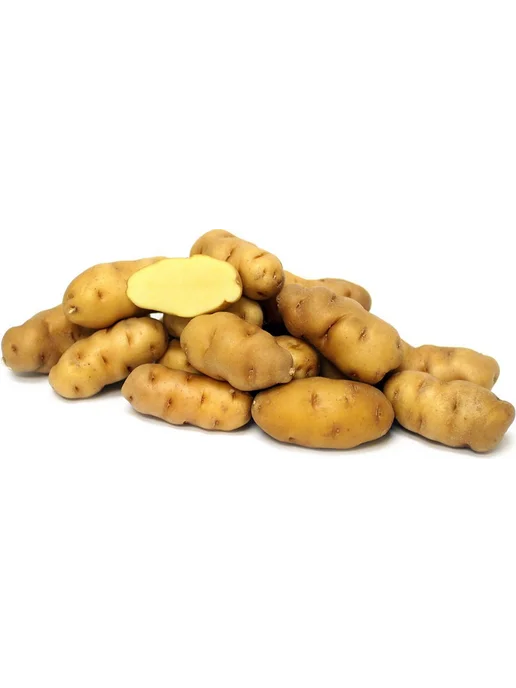 Картофель Банан (potato banana), 400 гр, 500 г, фото 6