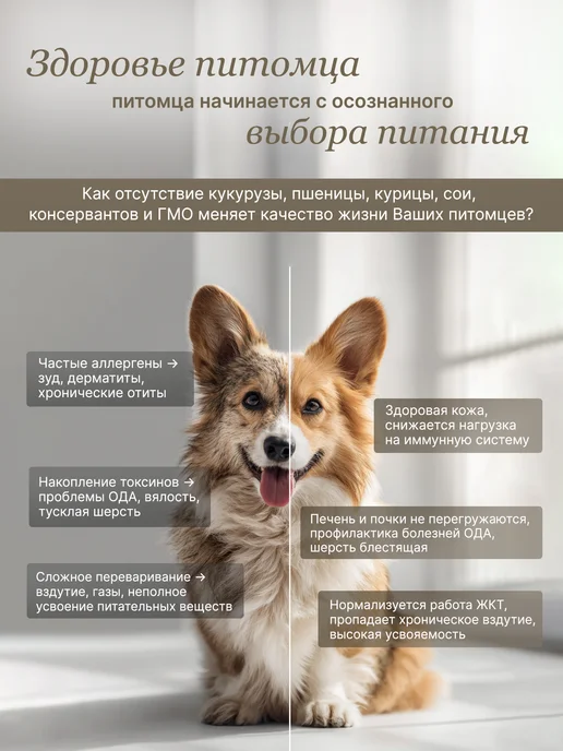 Сухой корм ALAMI Тел Ягн для собак, крупные, щенки, 1 кг, фото 2
