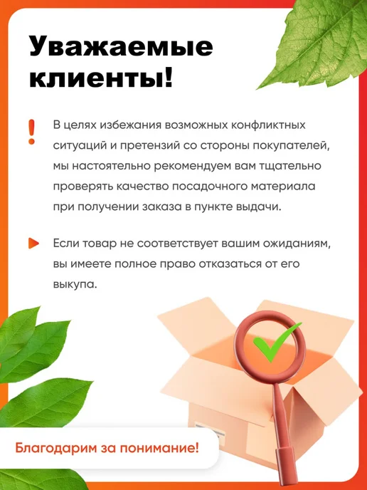 Ваше Хозяйство Лук севок озимый Ред Барон 0,5 кг, 1 кг, фото 3