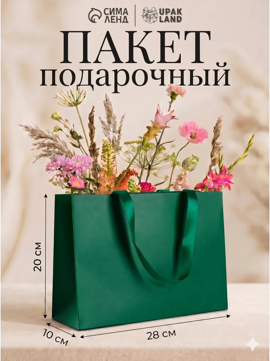 Пакет подарочный