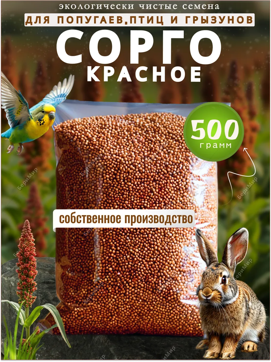 Зерно Сорго красное для птиц ,грызунов и попугаев 500гр