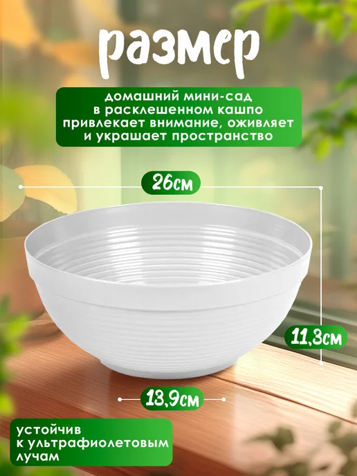 5Plast Кашпо-миска для комнатных и садовых цветов 6 л, 4,1 л, фото 2