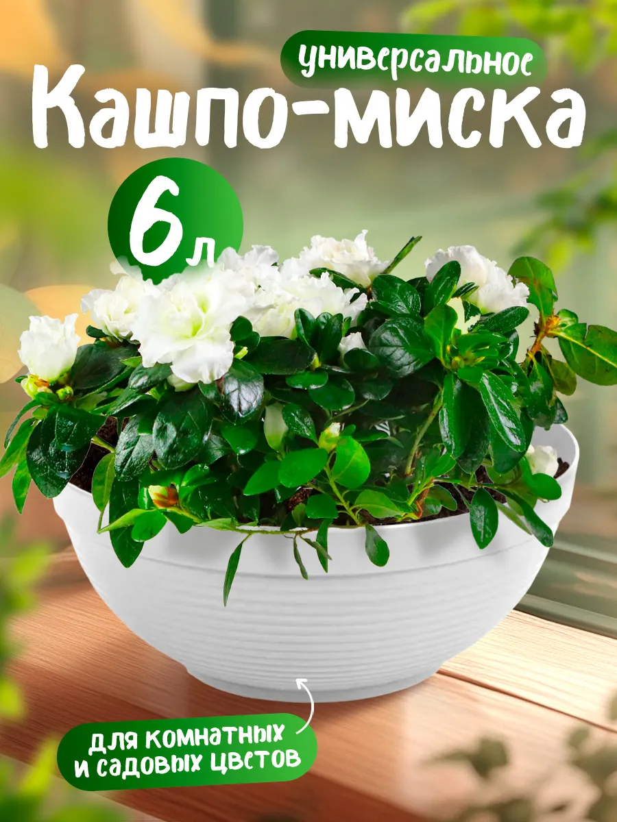 Кашпо-миска для комнатных и садовых цветов 6 л