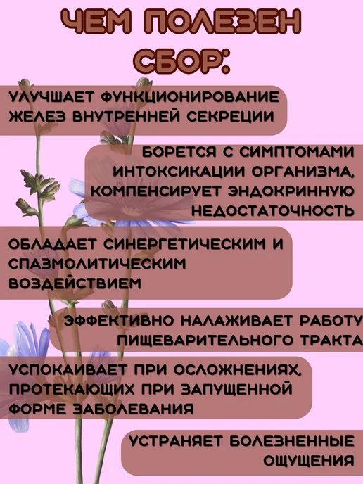 ООО "Фарм-продукт" Травяной сбор Поджелудочная железа пакетированный, вариант, фото 3