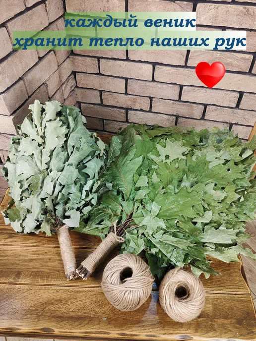 из Пущи Веник дубовый 2 шт. БЕССОРТОВОЙ, 2 шт, фото 7