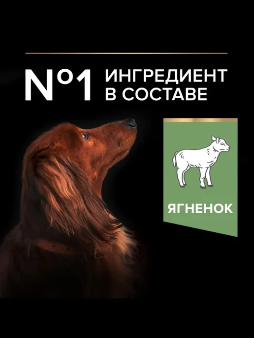 Сухой корм PRO PLAN Пищеварением для собак, мелкие, чувствительное пищеварение, 3,1 кг, фото 2