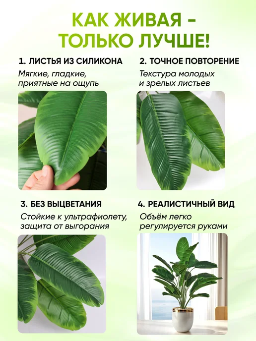 ЛинияДекора Пальма искусственная Стрелиция большое растение, зеленый, фото 4