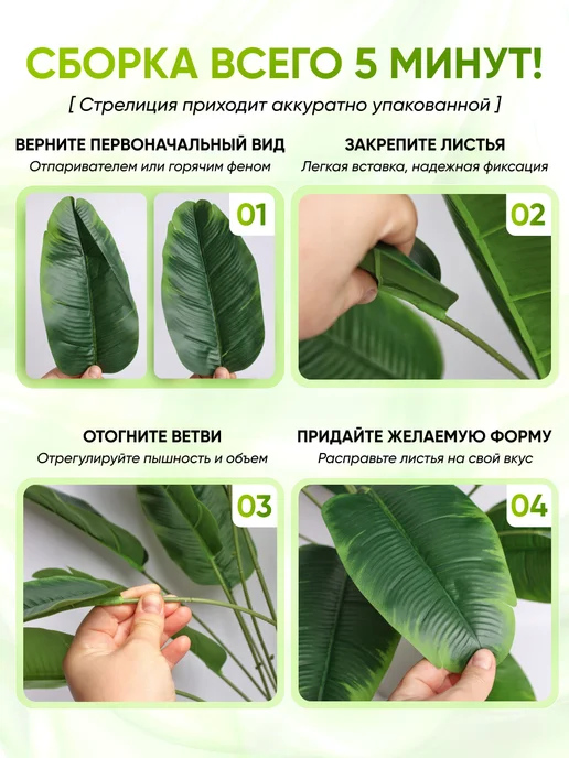 ЛинияДекора Пальма искусственная Стрелиция большое растение, зеленый, фото 5