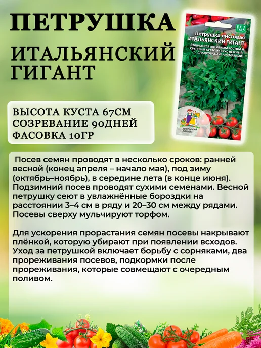 Уральский дачник оригинал Семена зелени набор лук укроп петрушка, зеленый, фото 4