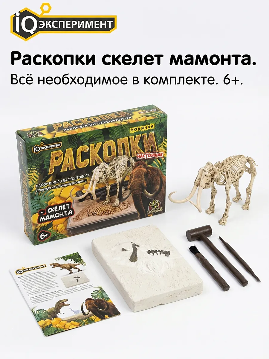 Раскопки для мальчиков девочек