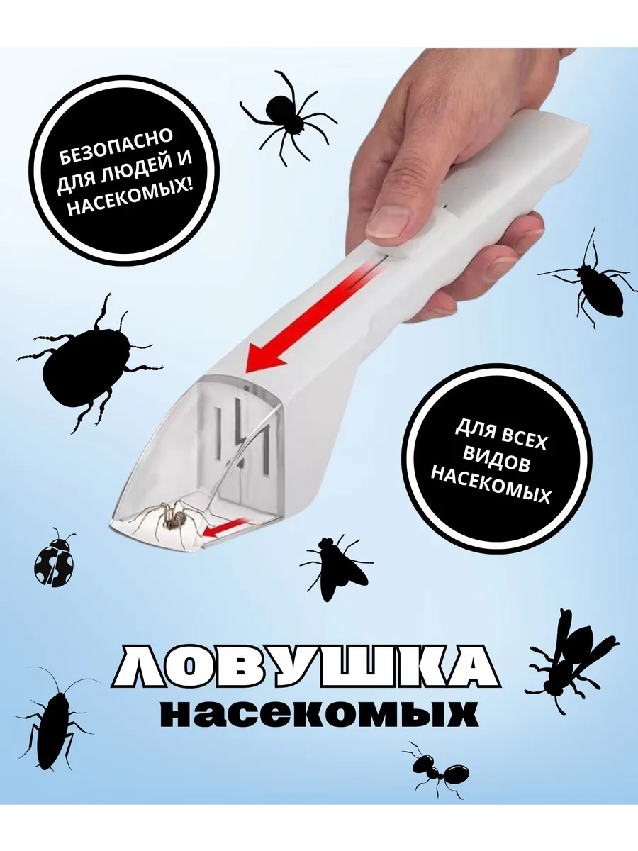 Ловушка для насекомых
