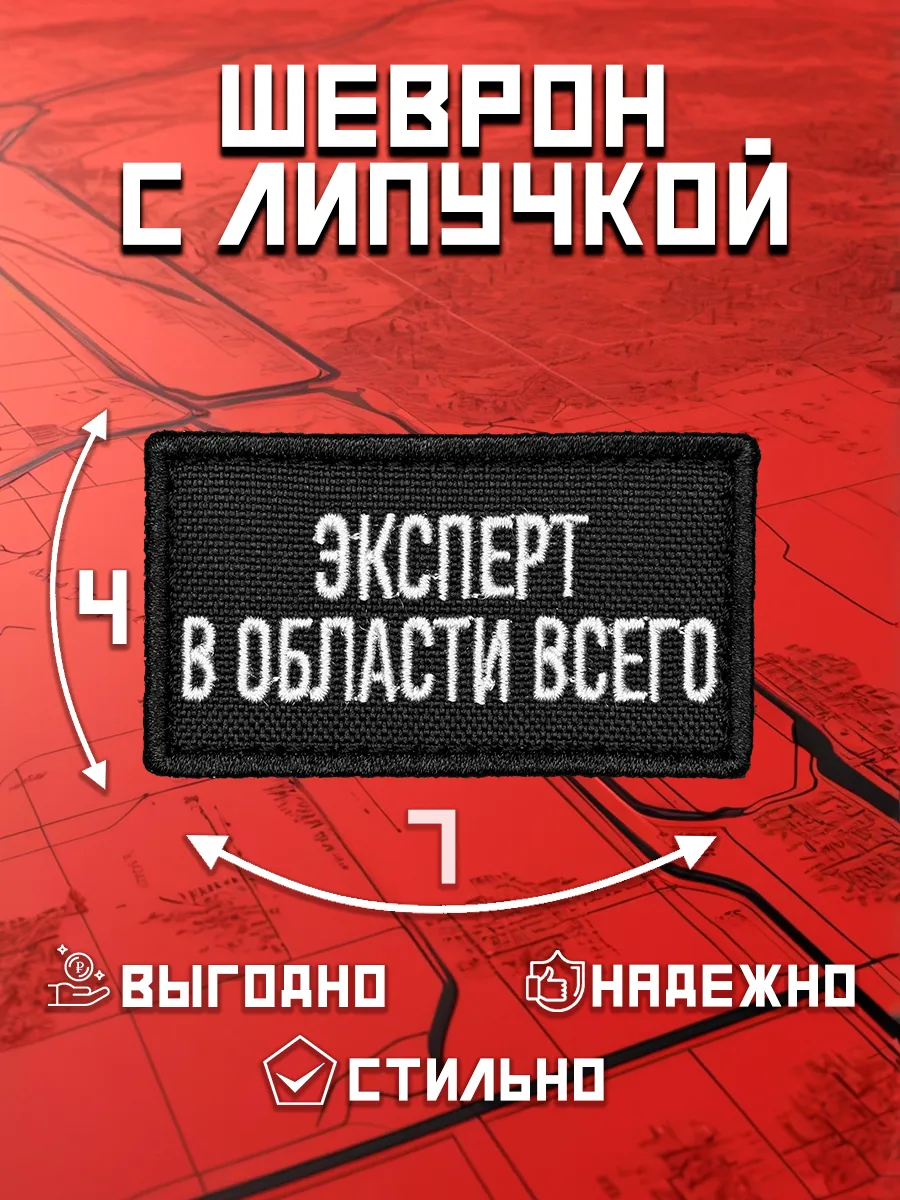 Шеврон на липучке "Эксперт в области"4х7см