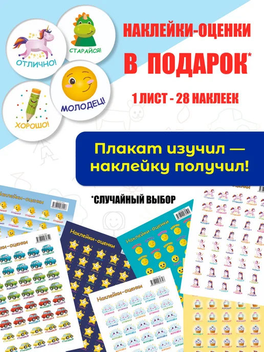 ИП Дзус Обучающий плакат Алфавит русский на стену в школу детям, вариант, фото 3
