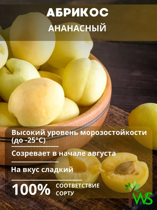 Қыздардың клиторын сипап жатқанын онлайн көріңіз