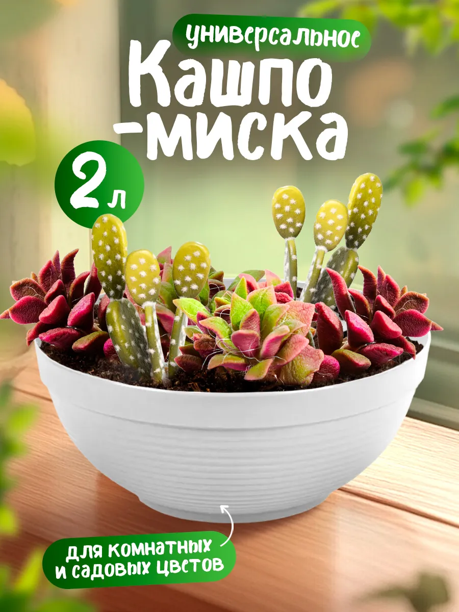 Кашпо-миска для комнатных и садовых цветов 2 л