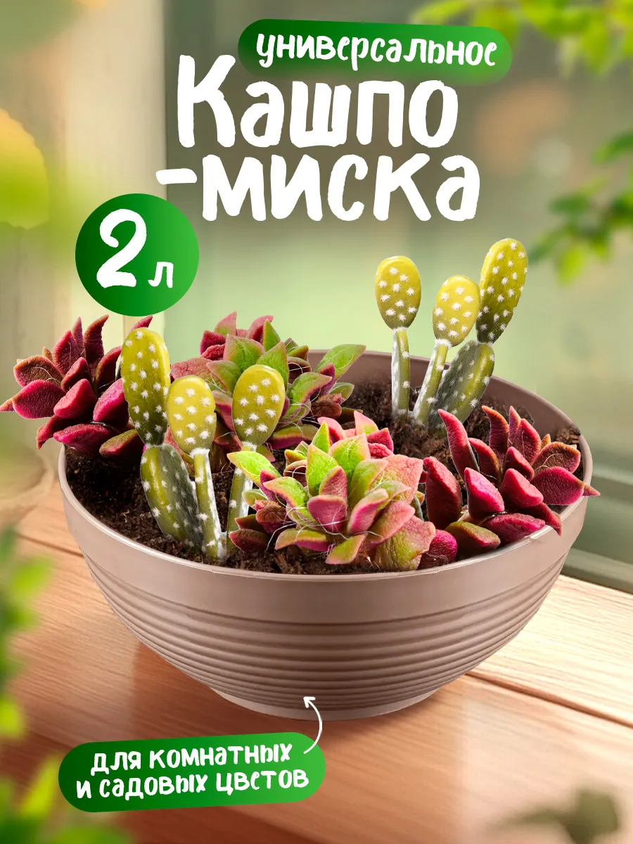 Кашпо-миска для комнатных и садовых цветов 2 л