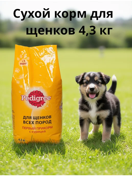 Сухой корм PEDIGREE Первый Прикорм для собак, щенки, 4,3 кг