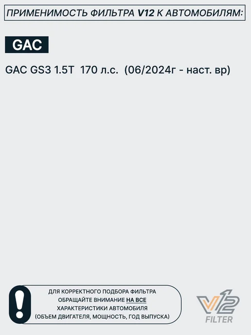V12 Воздушный фильтр GAC GS3, 2010005BSV0000, вариант, фото 4