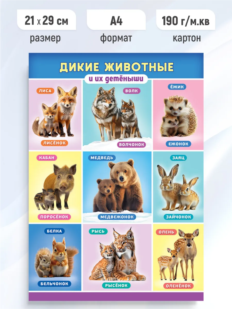 Детский обучающий плакат Дикие животные и их детеныши А4