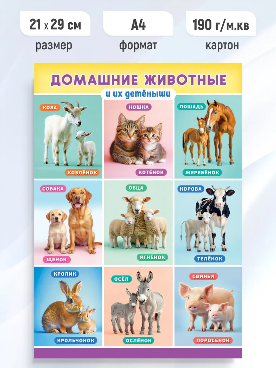 Детский обучающий плакат Домашние животные и их детеныши А4