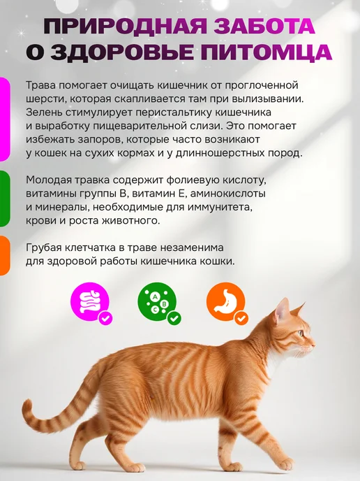 Здесь про заботу Трава для кошек проращивания, вариант, фото 4
