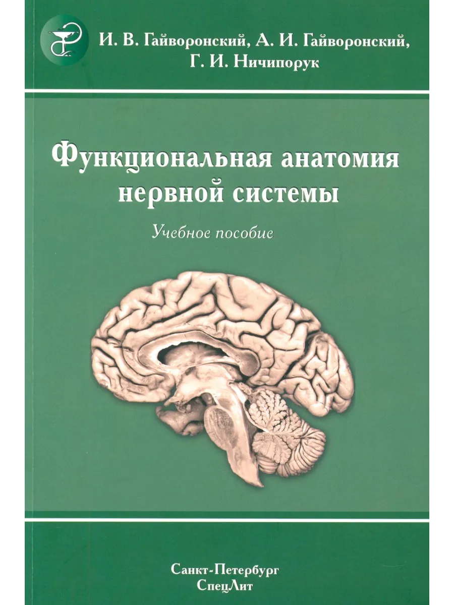 Функциональная анатомия нервной системы Учебное пособие