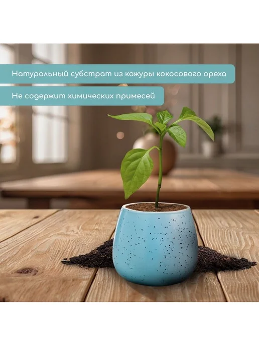 Greengo Кокосовые таблетки рассады, кокосовый субстрат d=6 см, 5 шт, 4 см, 10 шт, фото 3