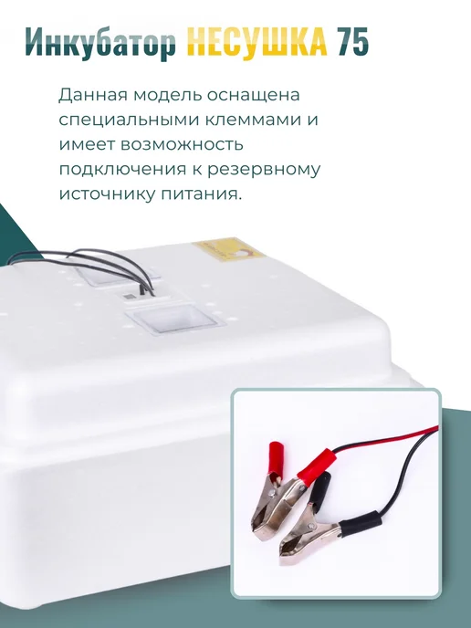Несушка Инкубатор автоматический для яиц с переворотом, белый, фото 3