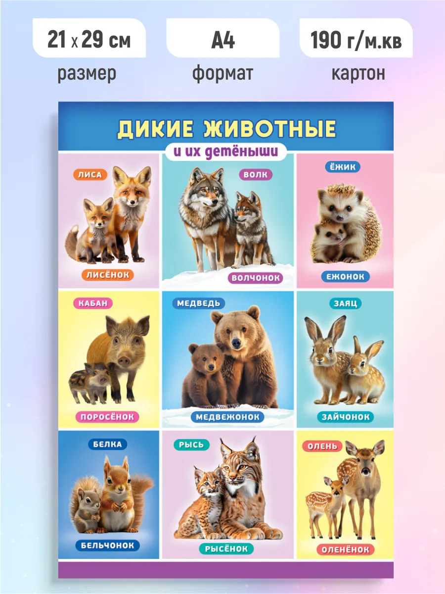 Детский обучающий плакат Дикие животные и их детеныши А4