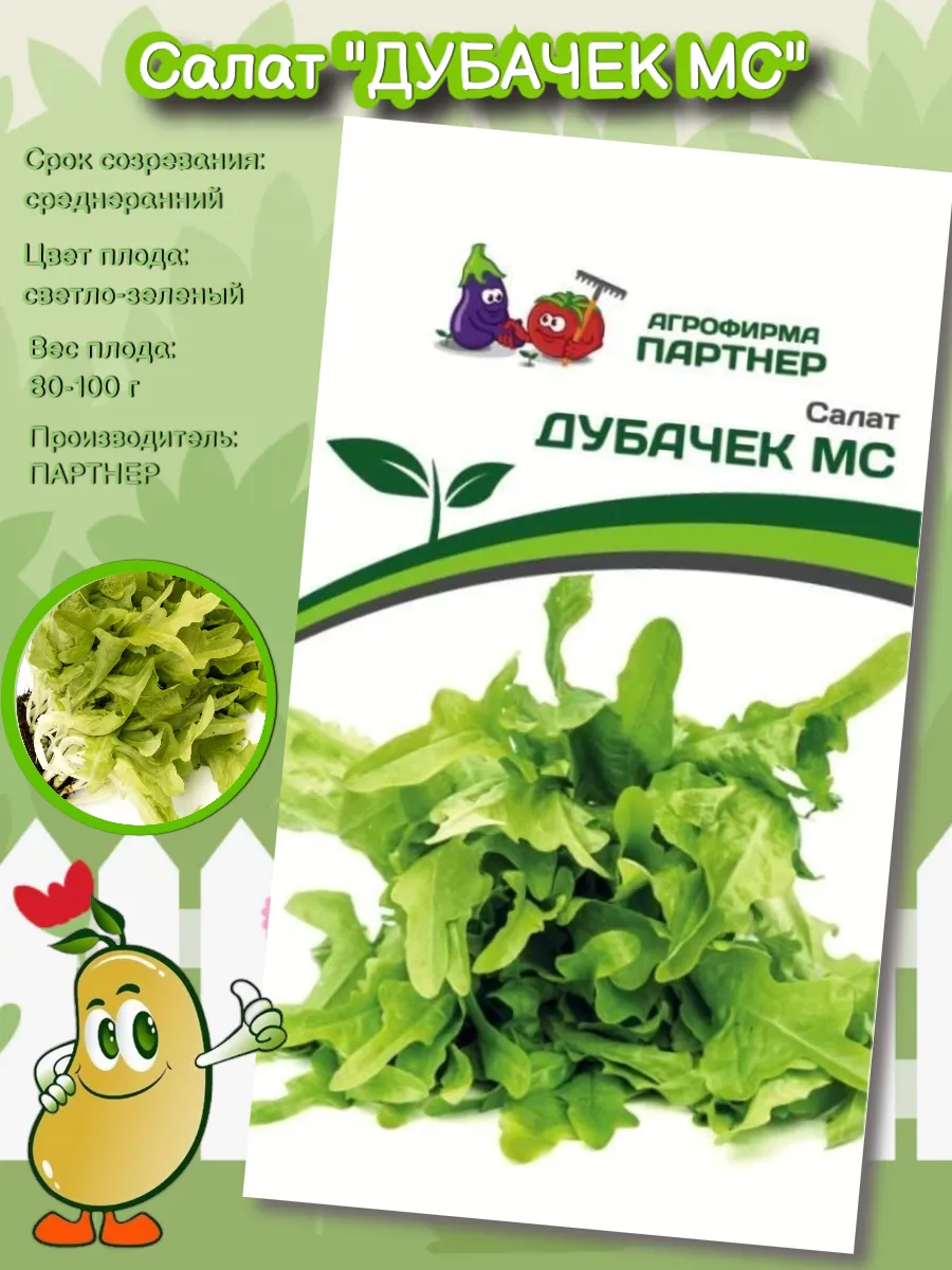 Семена Салат "ДУБАЧЕК МС"