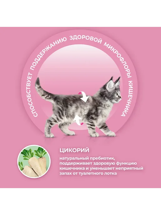 Сухой корм PURINA ONE Котят для собак, курица, 0,75 кг, фото 5