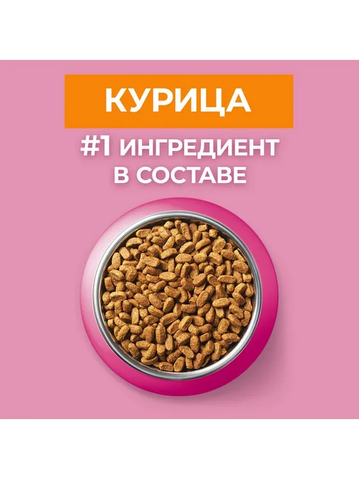 Сухой корм PURINA ONE Котят для собак, курица, 0,75 кг, фото 6