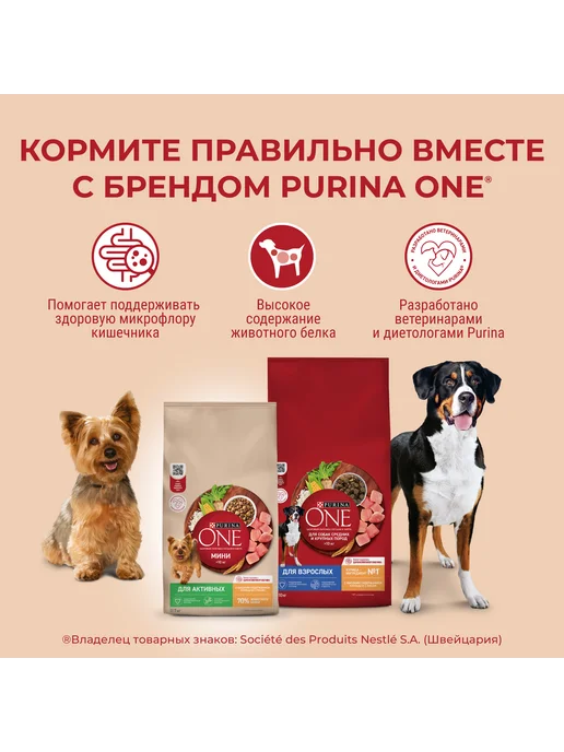 Сухой корм PURINA ONE Пищеварения для собак, мелкие, 0,6 кг, фото 3