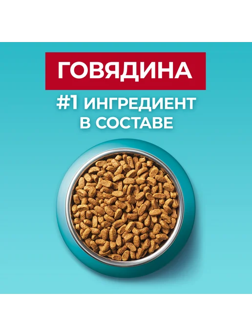 Сухой корм PURINA ONE Кошек для собак, взрослые, стерилизованные, говядина, 0,75 кг, фото 5